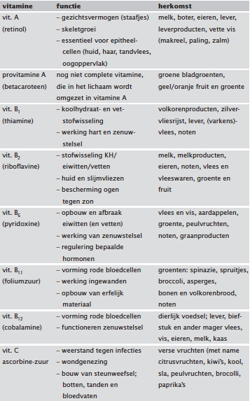 terminologie